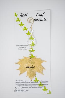 S.c. Gold Sugar Maple Leaf