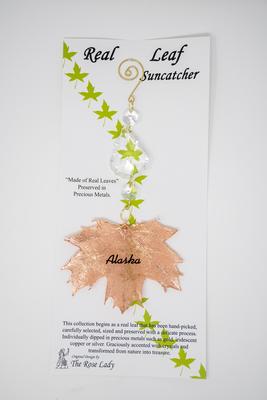 S.c. Rose Gold Sugar Maple