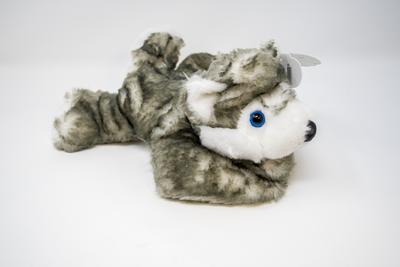 Plush- Floppy Husky W/ Alaska