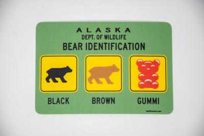 Sticker - Bear Identification