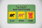 Sticker - Bear Identification