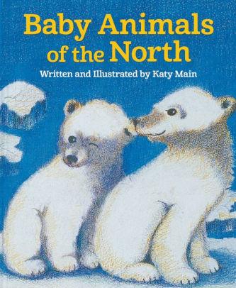  Book- Baby Animals Of The North
