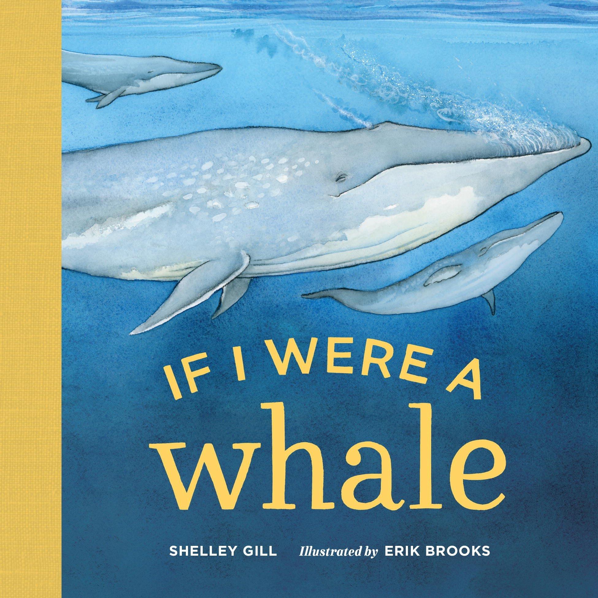  Book - If I Were A Whale