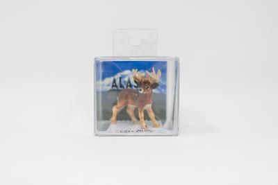 Deer Buck