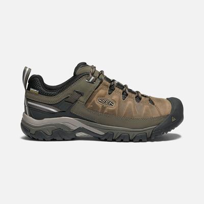 M`s Targhee Iii
