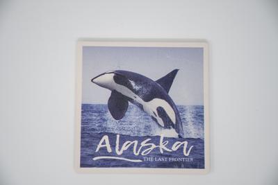 Orcas Breaching W/ak Coaster