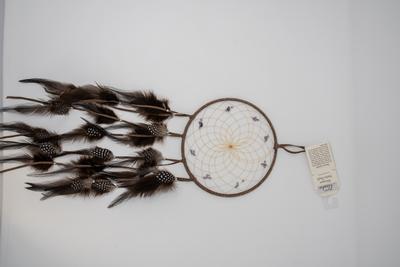 Dream Catcher 6
