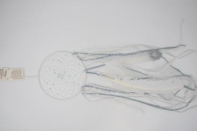 Winter Dreamcatcher