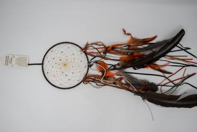6 Dreamcatcher