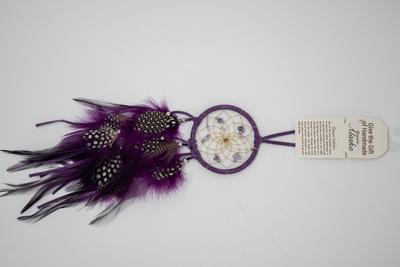 Dream Catcher 2.5