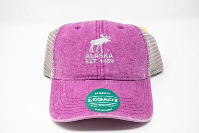 Dashboard Trucker Cap