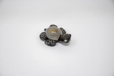 Turtle Magnet