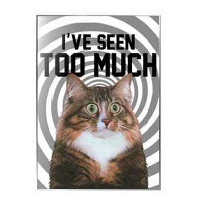 Magnet - Seen Too Much