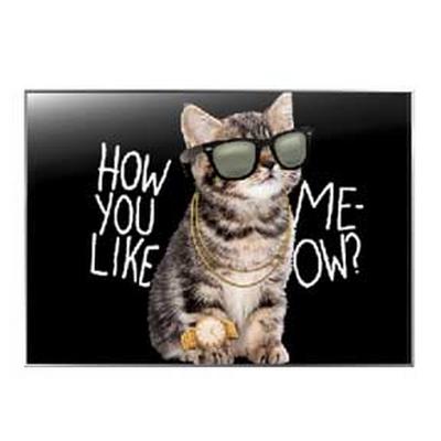 Magnet - Like Meow