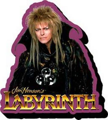Funky Chunky Magnet - Labyrinth