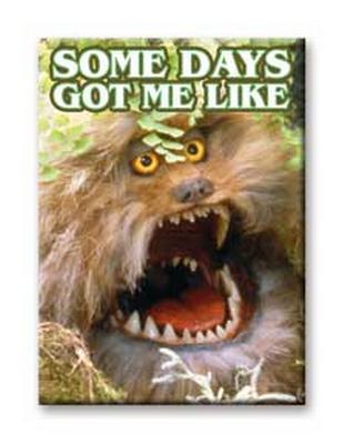 Flat Magnet : Dark Crystal - Some Days