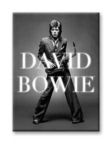  Flat Magnet : David Bowie - Bw Logo