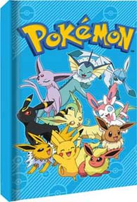 Hard Cover Journal - Pokemon Group