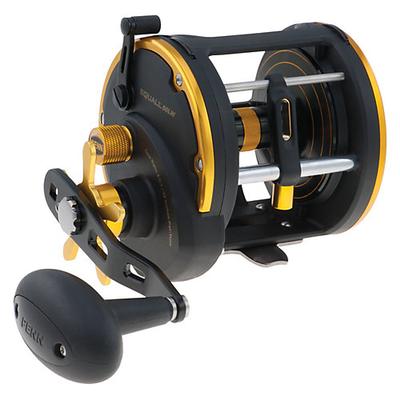 Squalii  20 Reel