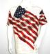  Polo Shirt Short Sleeve : Waiving Flag/Constitution - Natural