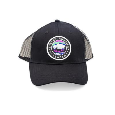 Baseball Hat- Northern Lights Foil