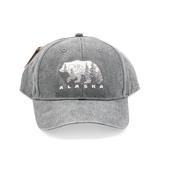 Baseball Hat- Inside Bear Mountain Landscape