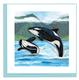  Notecard- Orca Whales